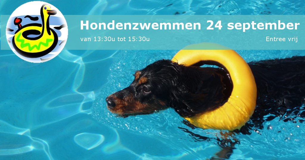 2016-hondenzwemmen-24-september